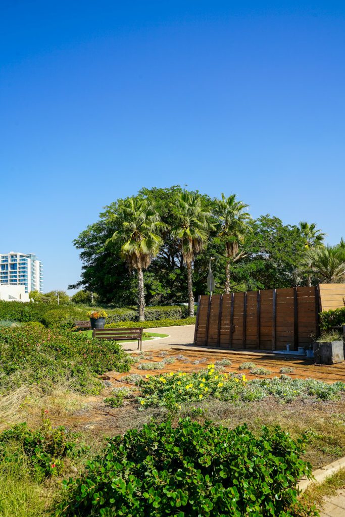 התחדשות עירונית - מאיר בנימין דוידי תחזית לשנת 2026