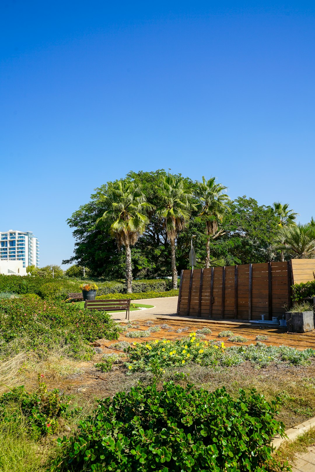 התחדשות עירונית - מאיר בנימין דוידי תחזית לשנת 2026